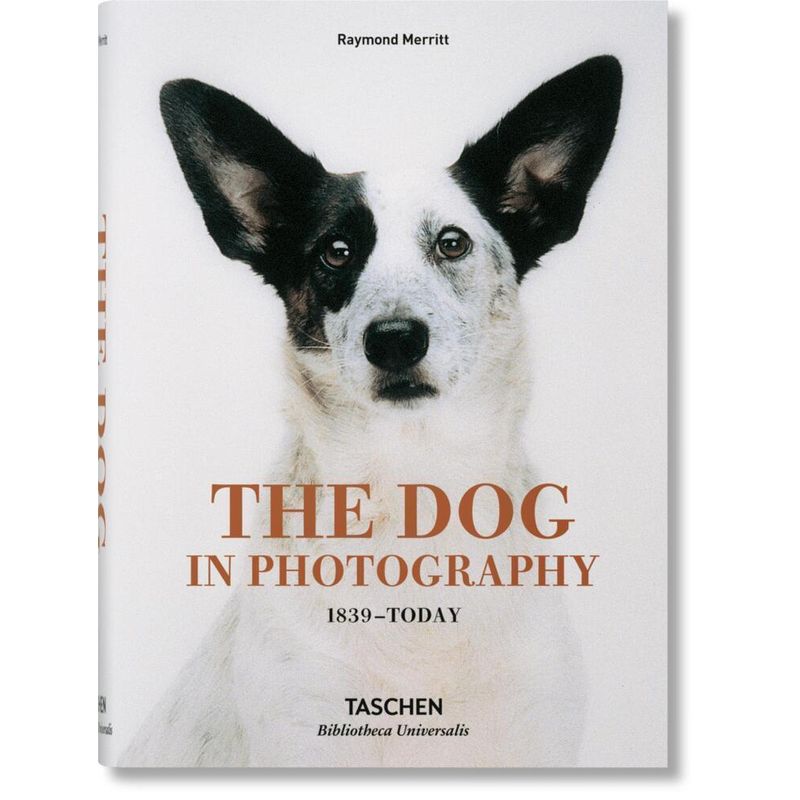 The Dog In Photography 1839-Today - Raymond Merritt, Gebunden von Taschen Verlag