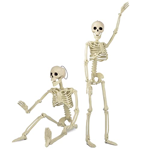Taspire 2 Pack 60cm Skelett Halloween Deko, Bewegliche Ganzkörper-Gelenkskelette Halloween Skelett Deko für Halloween Dekoration, Friedhofsdekorationen, Spukhauszubehör Taspire 2 Pack 60cm Skelett Halloween Deko, Bewegliche Ganzkörper-Gelenkskelette Halloween Skelett Deko für Halloween Dekoration, Friedhofsdekorationen, Spukhauszubehör von Taspire