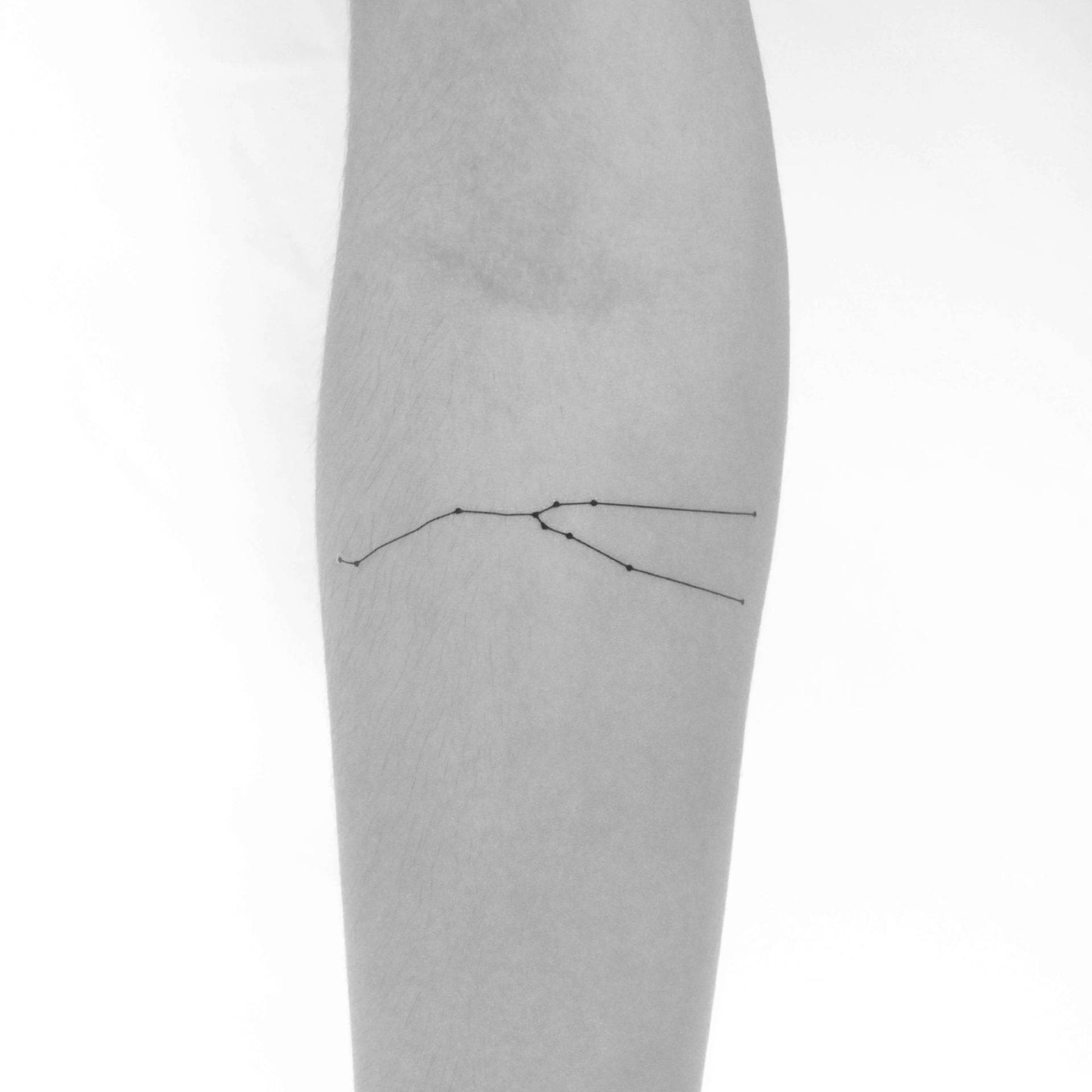 Sternbild Stier Temporäres Tattoo | 3Er Set Sternbild Stier Temporäres Tattoo | 3Er Set von Tatteco