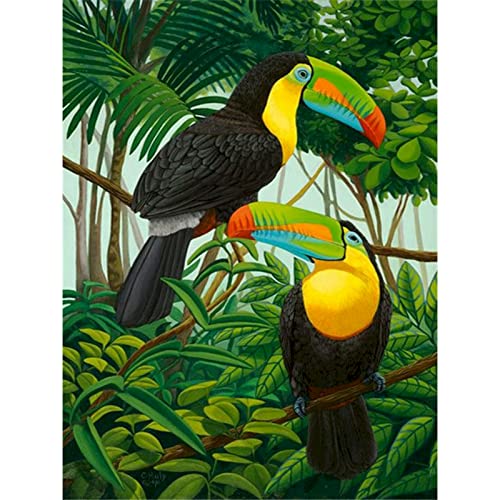Acryl Malen Nach Zahlen Vogel Tier Wandkunst Handgemalt Auf Leinwand Bild Nach Zahlen Blume Kinderzimmer, Kein Rahmen, 50 X 70 Cm Malen Nach Zahlen Kits Für Erwachsene Anfänger, Creative Diy Digital Acryl Malen Nach Zahlen Vogel Tier Wandkunst Handgemalt Auf Leinwand Bild Nach Zahlen Blume Kinderzimmer, Kein Rahmen, 50 X 70 Cm Malen Nach Zahlen Kits Für Erwachsene Anfänger, Creative Diy Digital von Taxpy