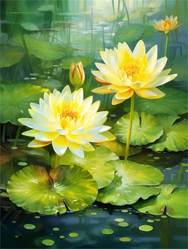 DIY Malen Nach Zahlen Pinsel Set（Diy-Rahmen）30x40cm Fantasie-Lotus Malen-Nach-Zahlen-Sets，Ölgemälde-Set Auf Leinwand，Kunsthandwerk，Acrylpigment，Zeichnung，Malerei Als Geschenk，Wanddekoration Für von Taxpy