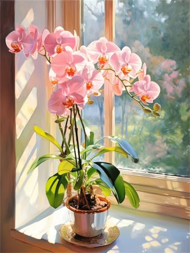 DIY Malen Nach Zahlen Pinsel Set（Diy-Rahmen）30x40cm Rosa Orchidee Am Fenster Malen-Nach-Zahlen-Sets，Ölgemälde-Set Auf Leinwand，Kunsthandwerk，Acrylpigment，Zeichnung，Malerei Als Geschenk，Wanddeko von Taxpy