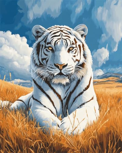 DIY Malen Nach Zahlen Pinsel Set（Kein Rahmen）40x50cm Cartoon Weißer Tiger Tier Malen Nach Zahlen Für Erwachsene，Anfänger，Ölgemälde-Set Auf Leinwand，Wanddekoration Für Zuhause Und Das Büro von Taxpy