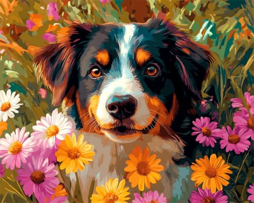 DIY Malen Nach Zahlen Pinsel Set（Kein Rahmen）40x50cm Hundetiere Und Bunte Blumen Malen Nach Zahlen Für Erwachsene，Anfänger，Mal-Sets Auf Leinwand，Kreative Freizeitgestaltung Für Erwachsene，Heimdek von Taxpy