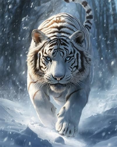 DIY Malen Nach Zahlen Set（Kein Rahmen）30x40cm Fantasie Weißer Tiger Tier Digitales Malen Nach Zahlen Auf Leinwand Für Anfänger，Erwachsene，Als Geschenk，Wanddekoration Für Zuhause von Taxpy