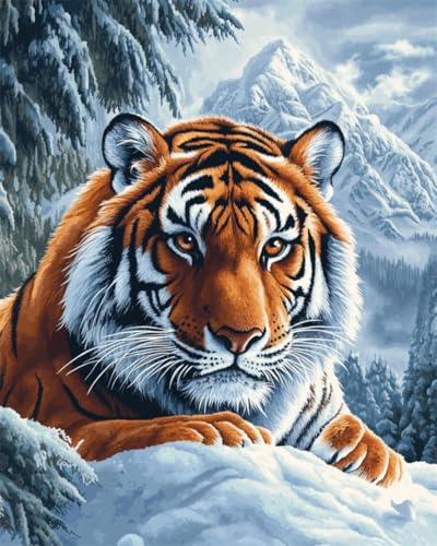 DIY Malen Nach Zahlen Set（Kein Rahmen）30x40cm Tiger Tier Und Schneeberg Digitales Malen Nach Zahlen Auf Leinwand Für Anfänger，Erwachsene，Als Geschenk，Wanddekoration Für Zuhause von Taxpy