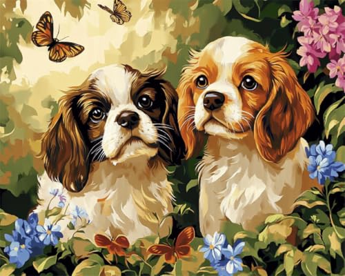 Diy Perlenstickerei Set Zwei Hunde Tiere Perlenstickerei-Nadelspitzen-Set,Diy-Bastelset,Werkzeuge,Hobby-Kreuzstich-Sets 50x70cm von Taxpy