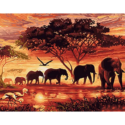 Sonnenuntergang Elefant Diy Malen Nach Zahlen Kits Tiere Malen Nach Zahlen Für Wohnkultur, Rahmen Zum Selbermachen, 50 X 70 Cm Diy Ölgemälde Malen Nach Zahlen Erwachsene Kit Zoll Für Anfänger, Kreat von Taxpy