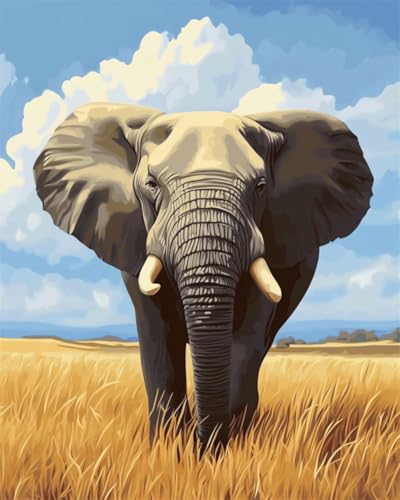 Taxpy DIY Malen-Nach-Zahlen（Diy-Rahmen） 40x50cm Cartoon Elefant Tier Ölgemälde-Set Auf Leinwand，Malen Nach Zahlen，Vintage，Wanddekoration Für Zuhause Und Das Büro von Taxpy