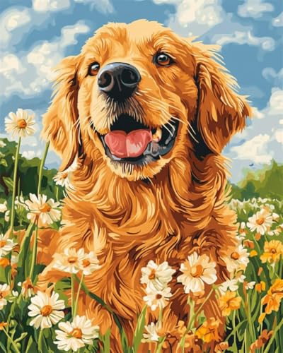 Taxpy DIY Malen-Nach-Zahlen（Diy-Rahmen） 40x50cm Cartoon-Hund Und Blumen Malen-Nach-Zahlen-Set，Malen Nach Zahlen，Dekorative Gemälde Für Erwachsene Und Kinder von Taxpy