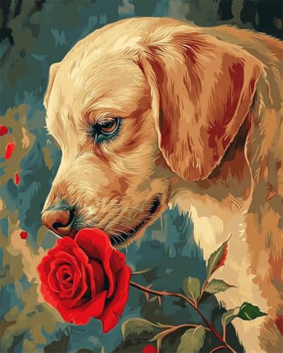 Taxpy DIY Malen-Nach-Zahlen（Diy-Rahmen） 40x50cm Cartoon-Hund Und Rosen Malen-Nach-Zahlen-Sets Für Erwachsene，Einfaches Acrylpigment，Zeichnung，Malerei，Wanddekoration Für Zuhause von Taxpy