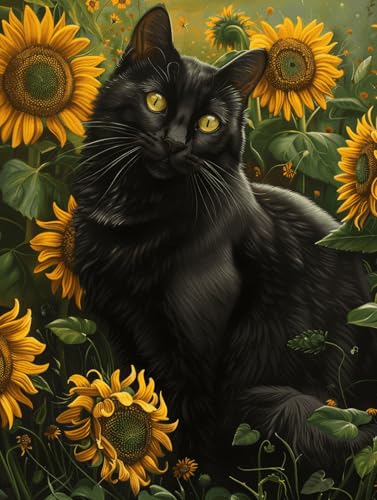 Taxpy DIY Malen-Nach-Zahlen（Diy-Rahmen） 40x50cm Schwarzes Katzentier Und Sonnenblumen Malen-Nach-Zahlen-Set，Malen Nach Zahlen，Dekorative Gemälde Für Erwachsene Und Kinder von Taxpy