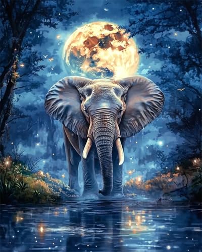 Taxpy DIY Malen-Nach-Zahlen（Kein Rahmen） 50x70cm Fantasie Elefant Und Mond Malen Nach Zahlen Für Erwachsene，Anfänger，Mal-Sets Auf Leinwand，Kreative Freizeitgestaltung Für Erwachsene，Heimdekoration von Taxpy