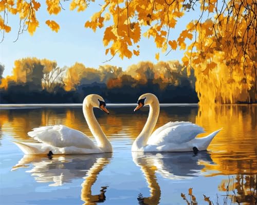 Taxpy DIY Malen-Nach-Zahlen（Kein Rahmen） 50x70cm Fantasie Schwan Tier Digitales Malen Auf Leinwand，Acrylpigment-Sets Für Die Wanddekoration Für Zuhause Als Geschenk von Taxpy