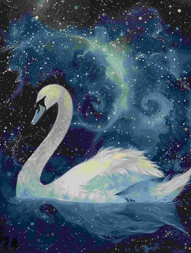 Taxpy DIY Malen-Nach-Zahlen（Kein Rahmen） 50x70cm Fantasie Schwan Tier Malen-Nach-Zahlen-Sets Für Erwachsene，Einfaches Acrylpigment，Zeichnung，Malerei，Wanddekoration Für Zuhause von Taxpy