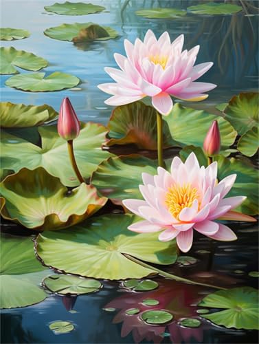 Taxpy DIY Malen-Nach-Zahlen（Kein Rahmen） 50x70cm Rosa Lotus Malen-Nach-Zahlen-Sets，Ölgemälde-Set Auf Leinwand，Kunsthandwerk，Acrylpigment，Zeichnung，Malerei Als Geschenk，Wanddekoration Für Zuhause von Taxpy