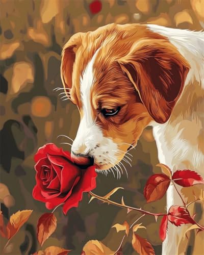 Taxpy DIY Malen Nach Zahlen Pinsel Set（Diy-Rahmen） 30x40cm Cartoon-Hund Und Rosen Ölgemälde-Set Auf Leinwand，Malen Nach Zahlen，Vintage，Wanddekoration Für Zuhause Und Das Büro von Taxpy