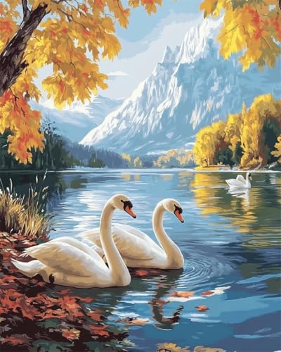 Taxpy DIY Malen Nach Zahlen Pinsel Set（Diy-Rahmen） 30x40cm Fantasie Schwan Tier Malen-Nach-Zahlen-Set，Malen Nach Zahlen，Dekorative Gemälde Für Erwachsene Und Kinder von Taxpy
