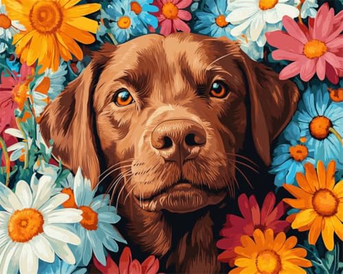 Taxpy DIY Malen Nach Zahlen Pinsel Set（Diy-Rahmen） 30x40cm Hundetiere Und Bunte Blumen Digitales Malen Auf Leinwand，Acrylpigment-Sets Für Die Wanddekoration Für Zuhause Als Geschenk von Taxpy