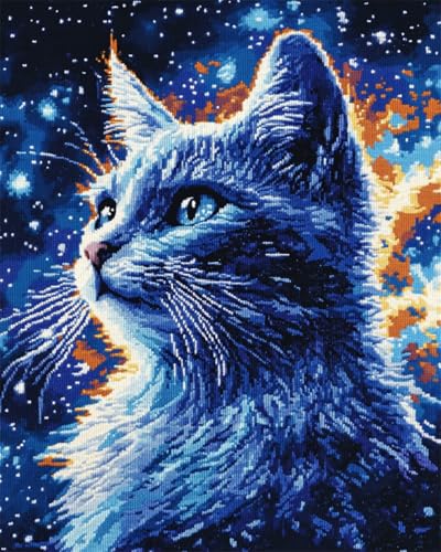 Taxpy DIY Malen Nach Zahlen Pinsel Set（Diy-Rahmen） 30x40cm Katzentier Und Sternenhimmel Digitales Malen Nach Zahlen Auf Leinwand Für Anfänger，Erwachsene，Als Geschenk，Wanddekoration Für Zuhause von Taxpy