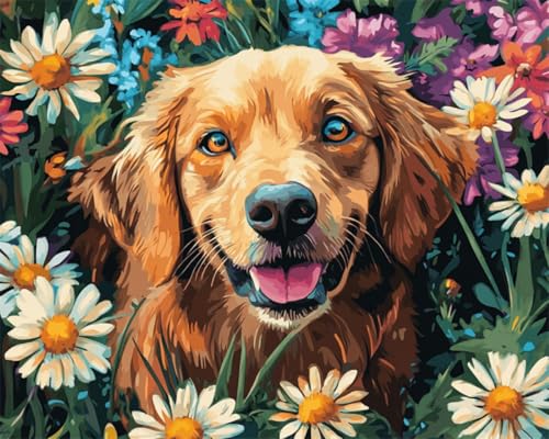Taxpy DIY Malen Nach Zahlen Pinsel Set（Kein Rahmen） 40x50cm Hundetiere Und Bunte Blumen Ölgemälde-Sets Auf Leinwand Mit Pinseln Und Acrylpigment，Für Die Heimdekoration von Taxpy