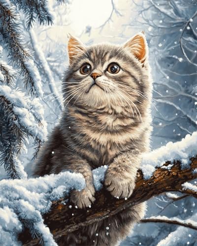 Taxpy DIY Malen Nach Zahlen Pinsel Set（Kein Rahmen） 40x50cm Katzentier Im Schnee Digitales Malen Nach Zahlen Auf Leinwand Für Anfänger，Erwachsene，Als Geschenk，Wanddekoration Für Zuhause von Taxpy