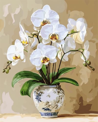 Taxpy DIY Malen Nach Zahlen Pinsel Set（Kein Rahmen） 40x50cm Weiße Orchidee In Vase Malen-Nach-Zahlen-Set，Dekorative Gemälde Für Erwachsene Und Kinder Und Kinder von Taxpy