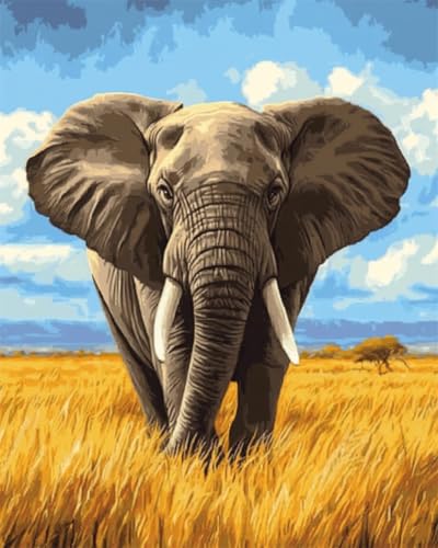 Taxpy DIY Malen Nach Zahlen Set（Diy-Rahmen） 50x70cm Cartoon Elefant Tier Malen Nach Zahlen Für Erwachsene，Anfänger，Mal-Sets Auf Leinwand，Kreative Freizeitgestaltung Für Erwachsene，Heimdekoration von Taxpy