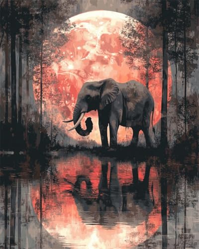 Taxpy DIY Malen Nach Zahlen Set（Diy-Rahmen） 50x70cm Fantasie Elefant Und Mond Ölgemälde-Sets Auf Leinwand Mit Pinseln Und Acrylpigment，Für Die Heimdekoration von Taxpy