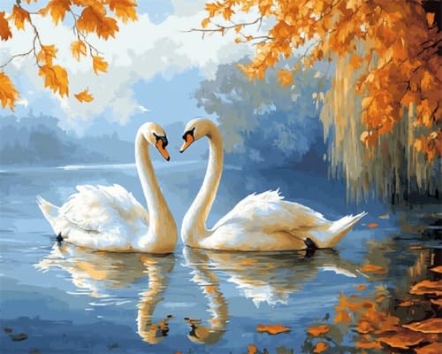 Taxpy DIY Malen Nach Zahlen Set（Diy-Rahmen） 50x70cm Fantasie Schwan Tier Malen-Nach-Zahlen-Sets，Ölgemälde-Set Auf Leinwand，Kunsthandwerk，Acrylpigment，Zeichnung，Malerei Als Geschenk，Wanddekoration Für von Taxpy