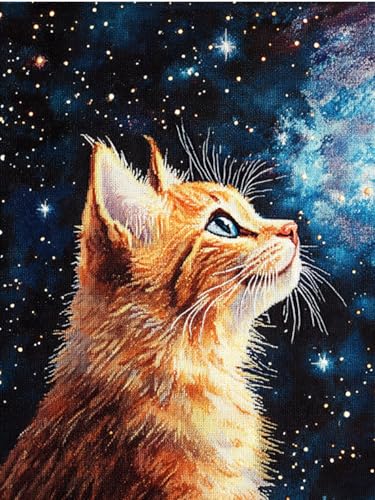 Taxpy DIY Malen Nach Zahlen Set（Kein Rahmen） 30x40cm Fantasiekatze Und Sternenhimmel Ölgemälde-Sets Auf Leinwand Mit Pinseln Und Acrylpigment，Für Die Heimdekoration von Taxpy