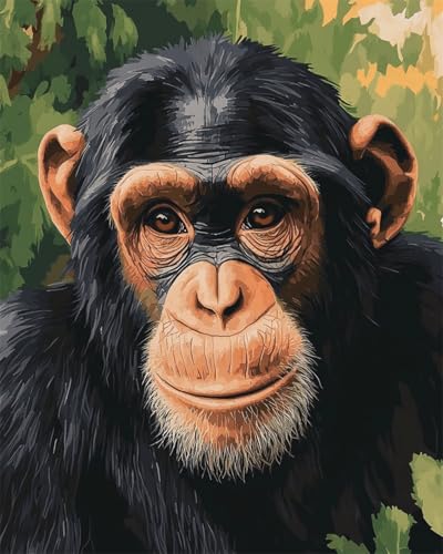 Taxpy Diy Perlenstickerei Set Gorillatier Diy-Perlenstickerei, Gestempeltes Perlen-Kreuzstich-Set, Geschenk Für Freunde 30x40cm von Taxpy