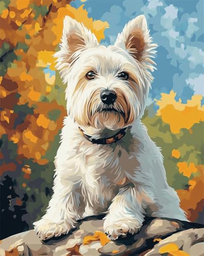 Taxpy Diy Perlenstickerei Set Weißer Hund Tier Perlen-Kreuzstich-Set, Perlenmuster, Handarbeit, Stickerei, Handarbeitsset 30x40cm von Taxpy