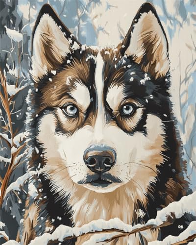 Taxpy Diy Stickbilder Erwachsene Husky Hund Tier Perlen-Kreuzstich-Set, Perlenmuster, Handarbeit, Stickerei, Handarbeitsset 40x50cm von Taxpy