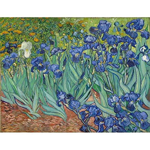 Taxpy Kreuzstich Stickpackungen Vorgedruckt, Van Gogh Landschaft Diy Kreuzstich 11Ct Stickpackungen Handwerk Handarbeiten Set Bedruckte Leinwand Baumwollfaden Bilder Stickerei Set Taxpy Kreuzstich Stickpackungen Vorgedruckt, Van Gogh Landschaft Diy Kreuzstich 11Ct Stickpackungen Handwerk Handarbeiten Set Bedruckte Leinwand Baumwollfaden Bilder Stickerei Set von Taxpy