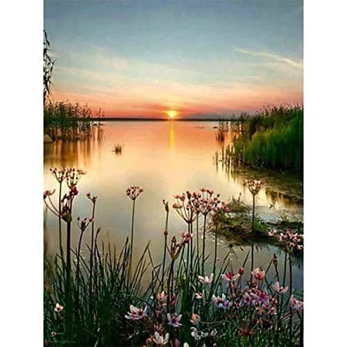 Taxpy Kreuzstich Stickpackungen Vorgedruckt Set Erwachsene, Bedruckte Leinwand Mit Sonnenuntergang Am Meer, 11 Karat Kreuzstich, Diy-Stickset, Dmc-Fäden, Stricken, Nähen Stickvorlagen Stickbilder Vor Taxpy Kreuzstich Stickpackungen Vorgedruckt Set Erwachsene, Bedruckte Leinwand Mit Sonnenuntergang Am Meer, 11 Karat Kreuzstich, Diy-Stickset, Dmc-Fäden, Stricken, Nähen Stickvorlagen Stickbilder Vor von Taxpy