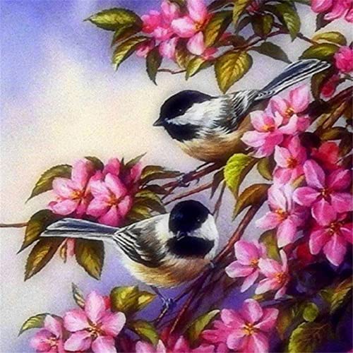 Taxpy Kreuzstich Stickpackungen Vorgedruckt Set Erwachsene, Vogel-Tier-Blumen-Diy-Stickerei 11Ct Kreuzstich-Kits Craft Handarbeits-Set Bedruckte Leinwand Baumwollfaden Stickvorlagen Stickbilder Vorge Taxpy Kreuzstich Stickpackungen Vorgedruckt Set Erwachsene, Vogel-Tier-Blumen-Diy-Stickerei 11Ct Kreuzstich-Kits Craft Handarbeits-Set Bedruckte Leinwand Baumwollfaden Stickvorlagen Stickbilder Vorge von Taxpy