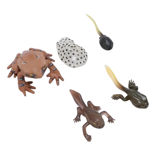 Tbest Animalfigur Spielzeug, Premiummaterial, Charmantes Dekorstück, Ein Ansprechendes Bildungsinstrument mit Lebensechten Details, Fördert Kognitive Fähigkeiten für Wohnkultur, Vorschullern Tbest Animalfigur Spielzeug, Premiummaterial, Charmantes Dekorstück, Ein Ansprechendes Bildungsinstrument mit Lebensechten Details, Fördert Kognitive Fähigkeiten für Wohnkultur, Vorschullern von Tbest