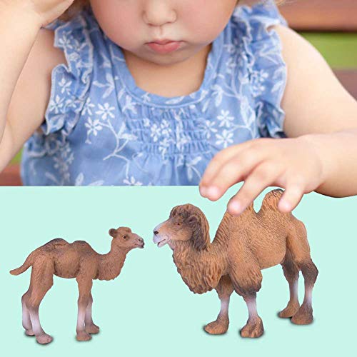 Tbest Kameltelur Plielzug, 2 Stückin Miniatur Kameligur Tiermodell Wohnkultur Art Lernspielegugur Tbest Kameltelur Plielzug, 2 Stückin Miniatur Kameligur Tiermodell Wohnkultur Art Lernspielegugur von Tbest