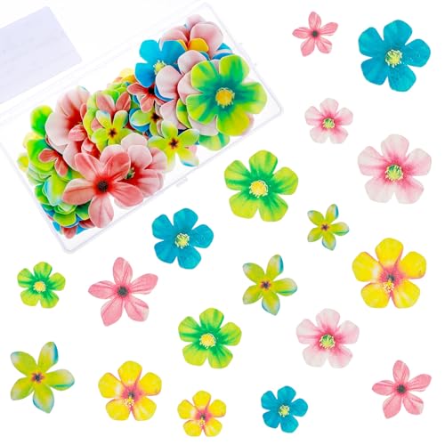 70 Stück Essbare Blüten Tortendeko, Bunte Essbar Kirschblüte Muffin Deko Küchendeko Kirschblüte Tortendeko Essbar Esspapier Blumen Dekorationen für Hochzeit Geburtstag Party Kuchen Dekorationen 70 Stück Essbare Blüten Tortendeko, Bunte Essbar Kirschblüte Muffin Deko Küchendeko Kirschblüte Tortendeko Essbar Esspapier Blumen Dekorationen für Hochzeit Geburtstag Party Kuchen Dekorationen von Teaaha
