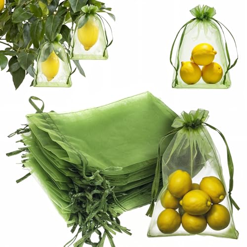 Organzabeutel Netzbeutel, 50 Stück Traubenschutzbeutel, 10x25cm Obst Schutzbeutel Mit Zugband, Garten Netzbeutel Zum Schutz Vor Vögel Wespen Fruchtfliegen Insekten (Grün) von Teaaha