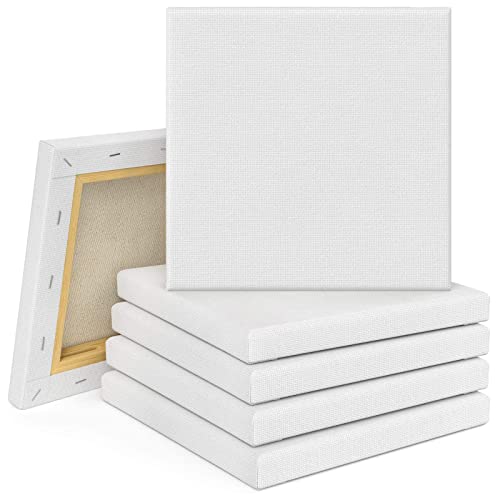 Tebery 10er Set Leinwand mit Keilrahmen 20x20cm, Leinwandbrett Künstler Keilrahmen, Aus 100% Baumwolle Keilrahmen zum Bemalen Ölfarben Skizzieren Zeichnen weiß Tebery 10er Set Leinwand mit Keilrahmen 20x20cm, Leinwandbrett Künstler Keilrahmen, Aus 100% Baumwolle Keilrahmen zum Bemalen Ölfarben Skizzieren Zeichnen weiß von Tebery