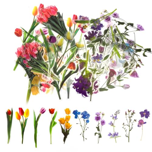 80 Stück Sticker Blumen,Blumen Sticker,Aufkleber Blumen,Scrapbook Stickers,Blumen Aufkleber,Aufkleber Fotoalbum,Aufkleber Scrapbooking,Sticker Vintage,Scrapbook Sticker,Fotoalbum Aufkleber, 80 Stück Sticker Blumen,Blumen Sticker,Aufkleber Blumen,Scrapbook Stickers,Blumen Aufkleber,Aufkleber Fotoalbum,Aufkleber Scrapbooking,Sticker Vintage,Scrapbook Sticker,Fotoalbum Aufkleber, von Tecfinty