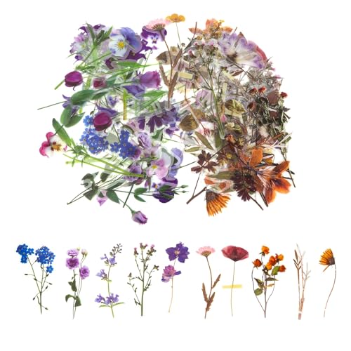 Tecfinty 80 Stück Multicolor Transparent Blumenaufkleber, Botanisch, Floral, Geblümt, Indoor, Sticker, Blumenaufkleber Tecfinty 80 Stück Multicolor Transparent Blumenaufkleber, Botanisch, Floral, Geblümt, Indoor, Sticker, Blumenaufkleber von Tecfinty
