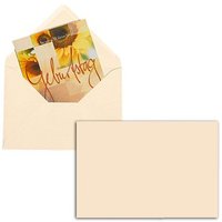 tecno Briefumschläge colors DIN B6 ohne Fenster hellchamois nassklebend 25 St. tecno Briefumschläge colors DIN B6 ohne Fenster hellchamois nassklebend 25 St. von Tecno