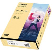 tecno Kopierpapier colors chamois DIN A4 120 g/qm 250 Blatt von Tecno