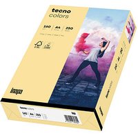 tecno Kopierpapier colors chamois DIN A4 160 g/qm 250 Blatt von Tecno
