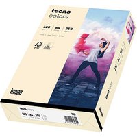 tecno Kopierpapier colors hellchamois DIN A4 120 g/qm 250 Blatt von Tecno