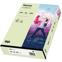 tecno Kopierpapier colors hellgrün DIN A4 160 g/qm 250 Blatt von Tecno