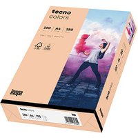 tecno Kopierpapier colors lachs DIN A4 160 g/qm 250 Blatt von Tecno